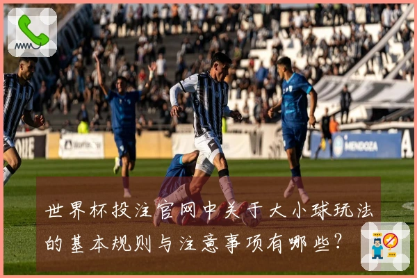 世界杯投注官网中关于大小球玩法的基本规则与注意事项有哪些？
